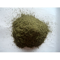 majeranek Mielony 50 G