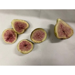 Figa owoc liofilizowana 100 g