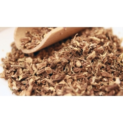 Bertram Rzymski Anacyclus Pyrethrum 500 G