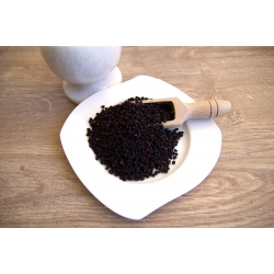 Bez dziki owoc sambucus ebulus 1 Kg