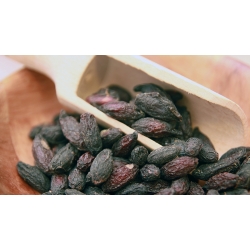 Dereń Owoc mielony 1 Kg