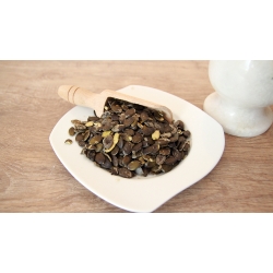 Dynia Łuskana 100 G