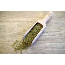 Ginkgo Biloba- Liście 100g