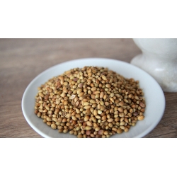 kolendra Cała 500 G