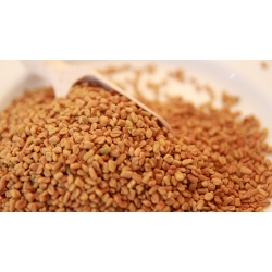 Nasiona Kozieradki 100g