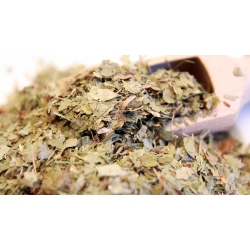 Liść Mącznicy 1kg