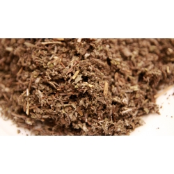 szałwia lekarska mielona 1kg