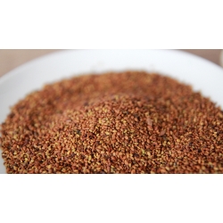 Lucerna Nasiona 100 G