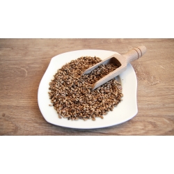 Ostropest Plamisty Owoc 100g