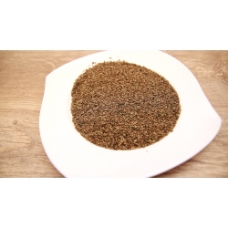 Pietruszka Nasiona 1k G