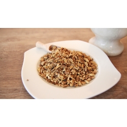 Rdestowiec Japoński Korzeń1 Kg