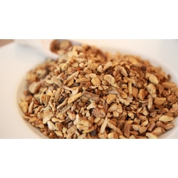 Rdestowiec Japoński Korzeń1 Kg