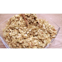 Szyszki Chmielu 100g