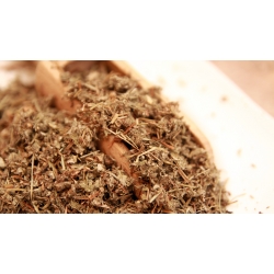 Ziele Srebrnika 100g